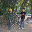 upload/9460/20190513/DSC_4208.JPG