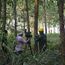 upload/9460/20190513/DSC_4235.JPG